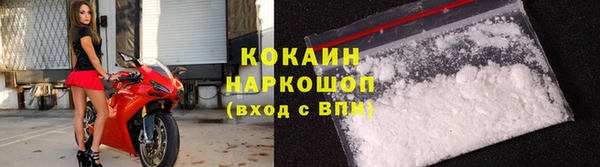 индика Балахна