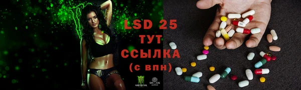 индика Балахна