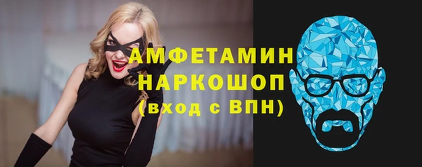 индика Балахна