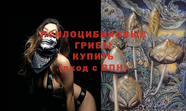индика Балахна
