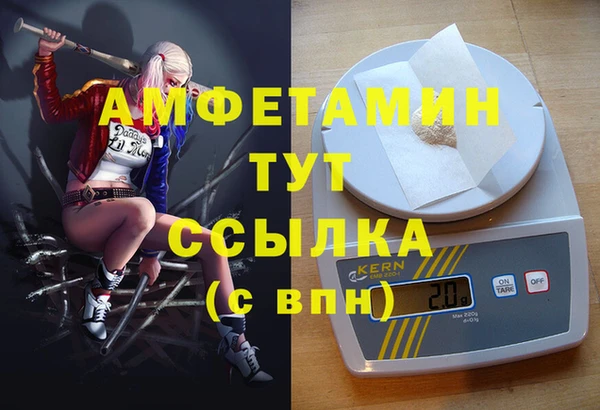 индика Балахна