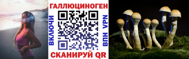 где продают наркотики  OMG ССЫЛКА  Галлюциногенные грибы мухоморы  Геленджик 